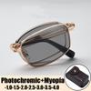 Luxury Foldable Business Men's Myopia Glasses with Leather Box Finished Prescription Minus Diopter Eyeglasses 0 To -4.0 Eyewear