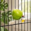 20pcs Plastic Bird Fruit Fork Dual Prong Design Pet Food Holder  Daily Feeding
