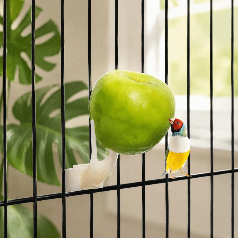 20pcs Plastic Bird Fruit Fork Dual Prong Design Pet Food Holder Daily Feeding
