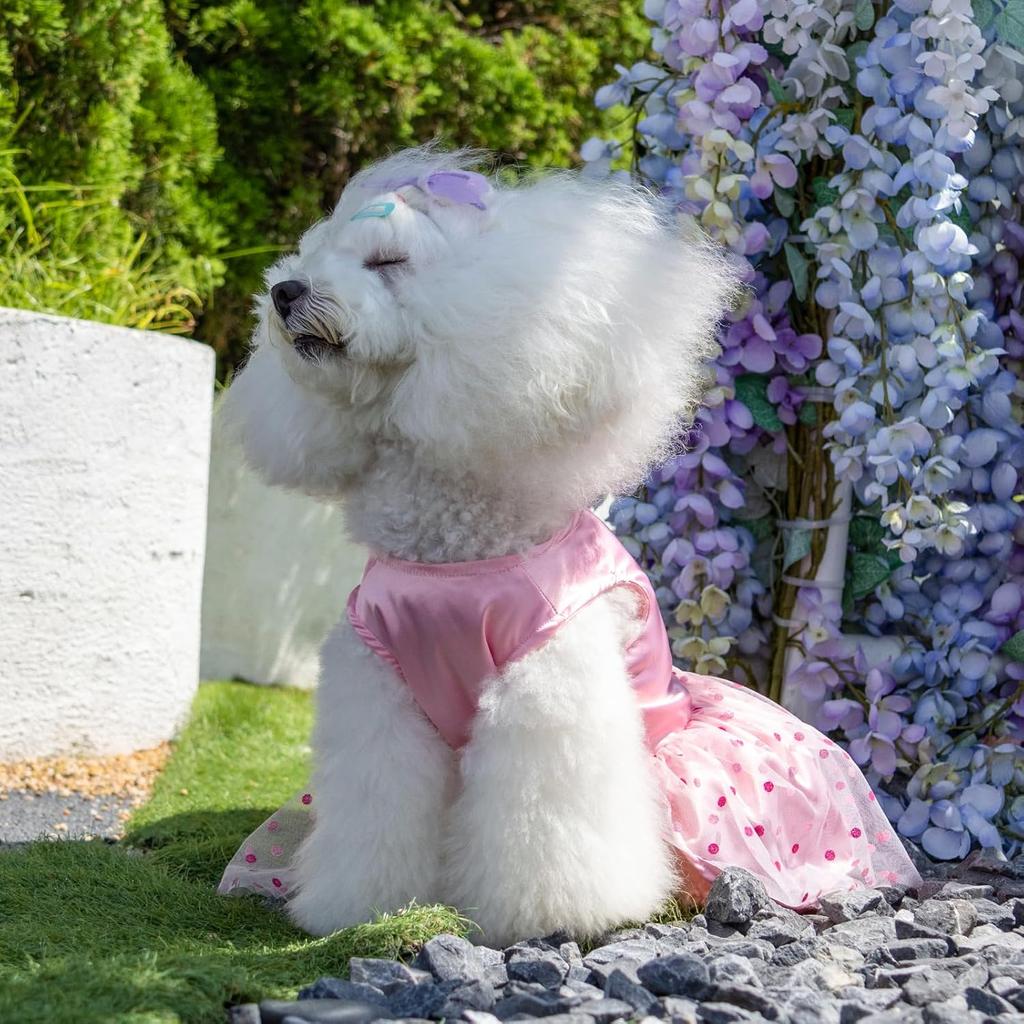 Милая косточка Платье для собаки Девочка на день рождения Щенячья одежда принцессы Костюм Кошачья одежда Маленькие собаки Наряд для питомца DD20S