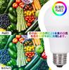 OKALUMI LED Bulbs, E26 Base, Daylight (6000k), 100W Equivalent, 1710 Lumens (12.3W), High Brightness, Omnidirectional, Compatible with Sealed