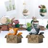 Фигурки кошек Изысканная милая садовая кукла Твердая модель Творческий микропейзаж Картонная коробка Кошка Мини 3D Модели животных из мультфильмов Настольные украшения