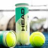 Head One Logo Padel Ball (Pack of 3)