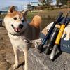 Tailwalk Outback Puppy S50UL-T 5.0ft