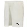 Puma Шорты Teamliga