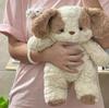 Promotional Gift Stuffed Animals Plush Toy Good Night Puppy Doll Pillow Cute Sleeping Doll Birthday for Girlfriend
