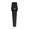 LEWITT Handheld Condenser Microphone MTP W950