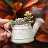 Многофункциональный цветочный горшок ручной работы из смолы, добавляющий жизненной силы птичий душ, горшок для растений, садовые принадлежности