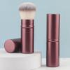 Retractable Brush Makeup Brush Powder Blusher Powder Brush Mini Multi-function Portable With  Handle