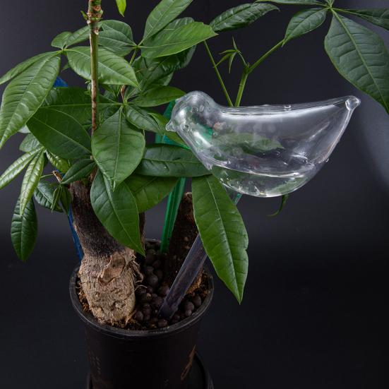 Автоматическая поливочная колба Дизайн птицы Самополивающиеся глобусы Вставка для посадки Поливочная колба для комнатных растений Уличные горшечные растения