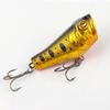 5.5CM/9G Topwater Fishing Lure с двойными крючками Реалистичная плавающая бионическая искусственная пластиковая твердая приманка для пресноводной соленой воды Рыболовные принадлежности