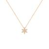 Official 10K Pink Gold Necklace for Birthday Includes Jewelry 112346123104 4.C Women, Gift, Case,