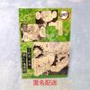 [ИСПОЛЬЗОВАН] Убийца демонов: Бонус за покупку 18 тома «Клинок, рассекающий демонов»: Это самая милосердная бонусная иллюстрация карты Истребителя демонов в Японии
