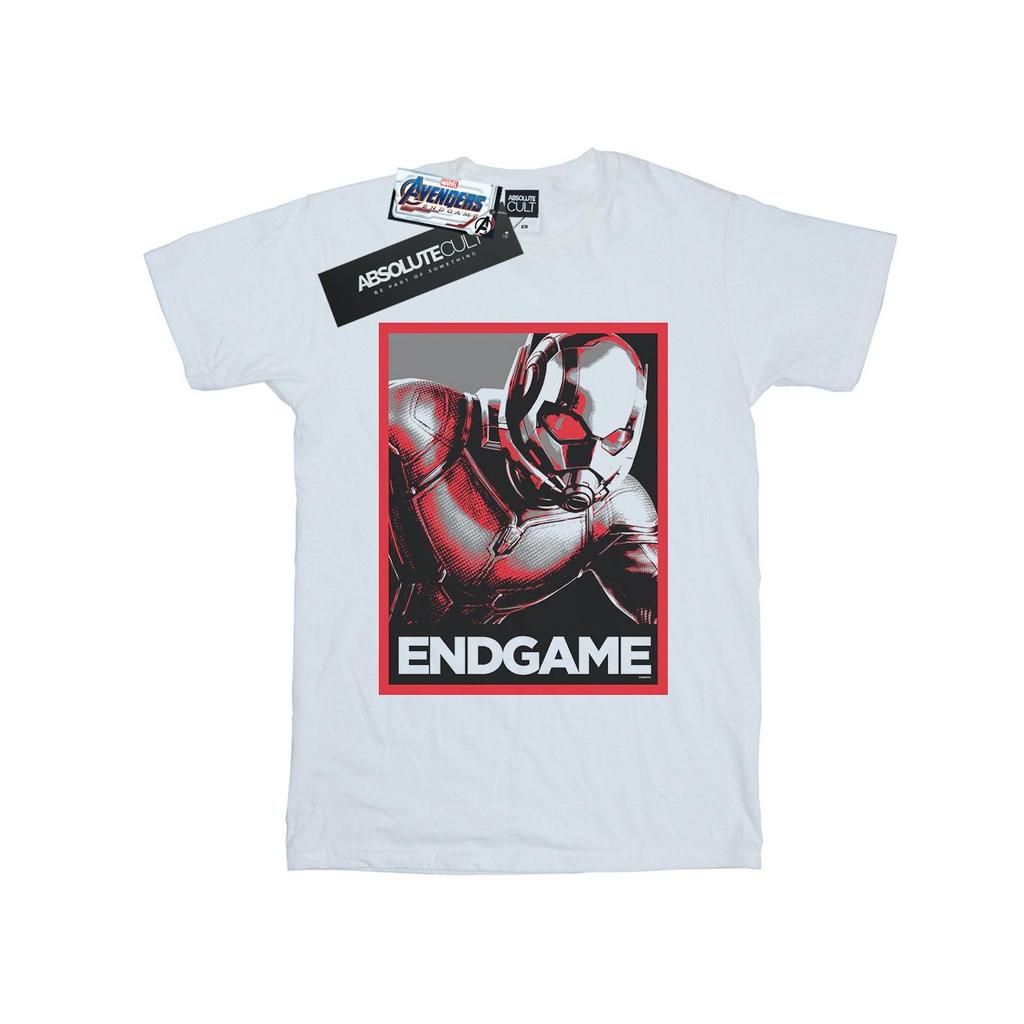 Marvel Mens Avengers Endgame Ant-Man Poster T-Shirt