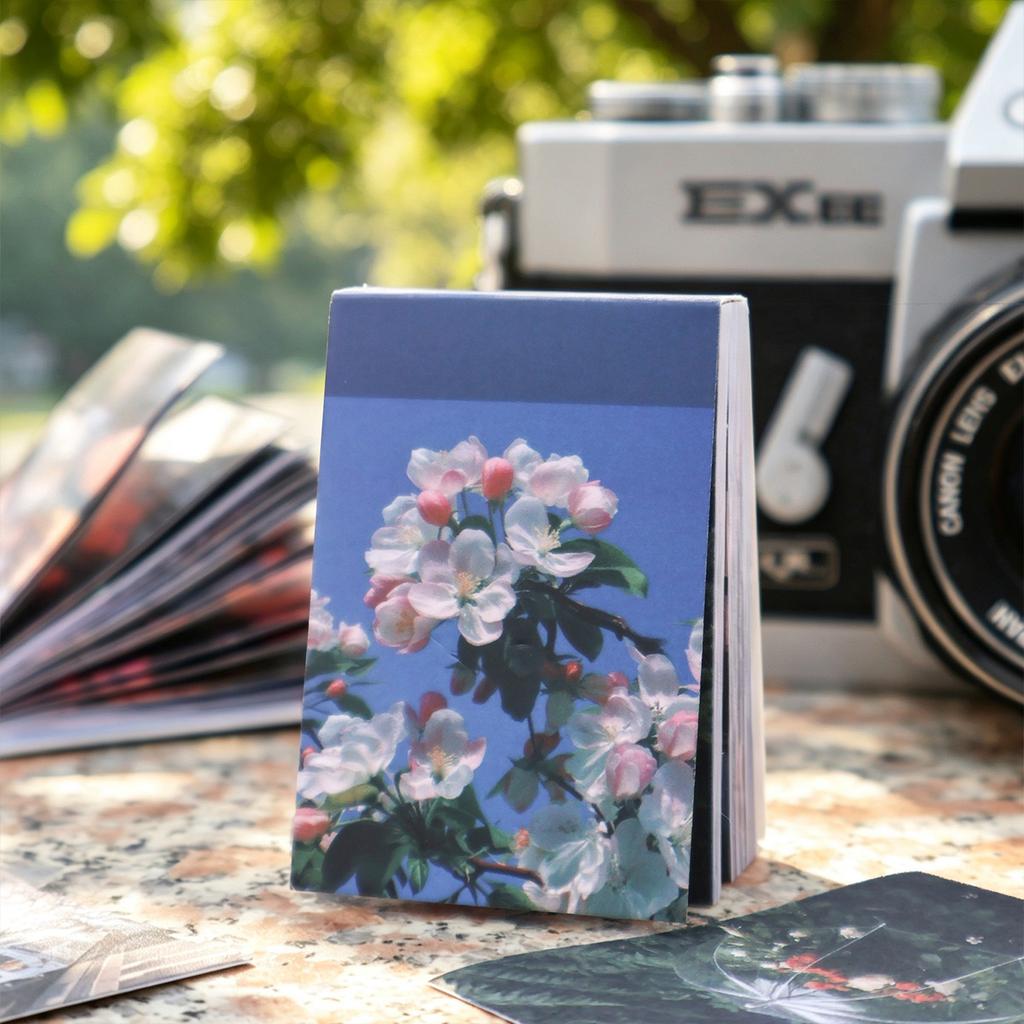 60sheets Light and Shadow Song Series Ins Comfortable Life Landscape Mini Sticker Book for Decoration Diary Scrapbook Aesthetics