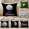 Спортивная наволочка для подушки Titleist из шелковистого короткого плюша для дивана, с потайной молнией, мягкий пылезащитный чехол для домашнего декора