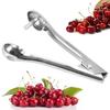 Red Date Cutter for Grapes Hawthorn Cherry Pitter Tool Fruit Tools Olive Pitter Corer Remover