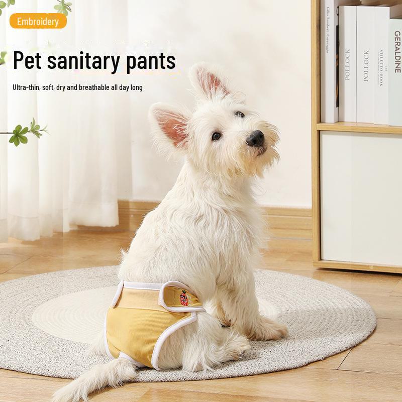 Санитарные штаны для собак женского пола: Подгузники против домогательств для Тедди и Бишонов