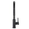 Black Free-standing Sink Tap with Pull-Out Spout and 2 Stream Functions Amor