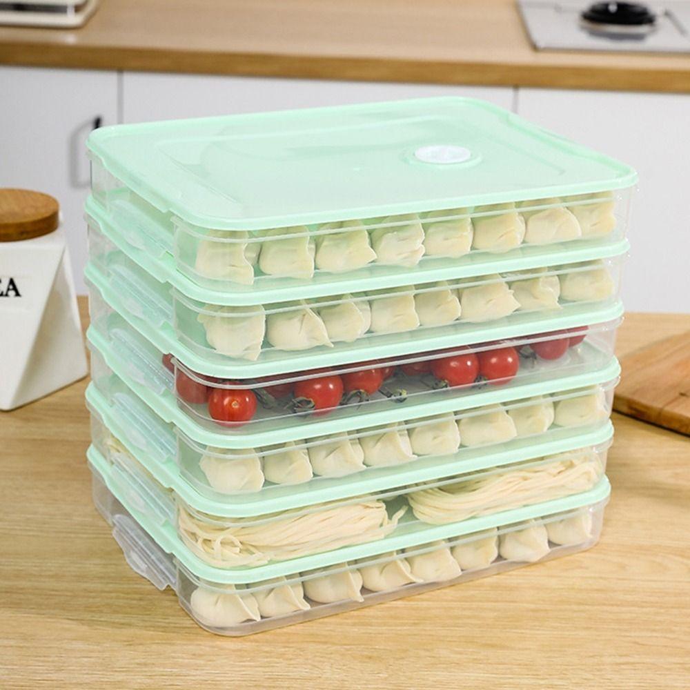 Transparent Dumpling Box Multi-Layer Food Freezer Storage Box Food Egg Frozen Box Refrigerator