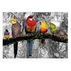 Полная вышивка Попугай Животные 5d Diy Алмазная картина Птицы Вышивка горным хрусталем