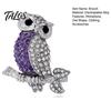 Аксессуары Bling Bird Брошь-булавка Сова со стразами, Лацканный пин из сплава для костюмов, Вдохновленные пины, пальто, сумок, Декоративный ювелирный аксессуар Животное, Женщины, Мужчины