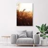 Canvas print, Meadow in the sun
