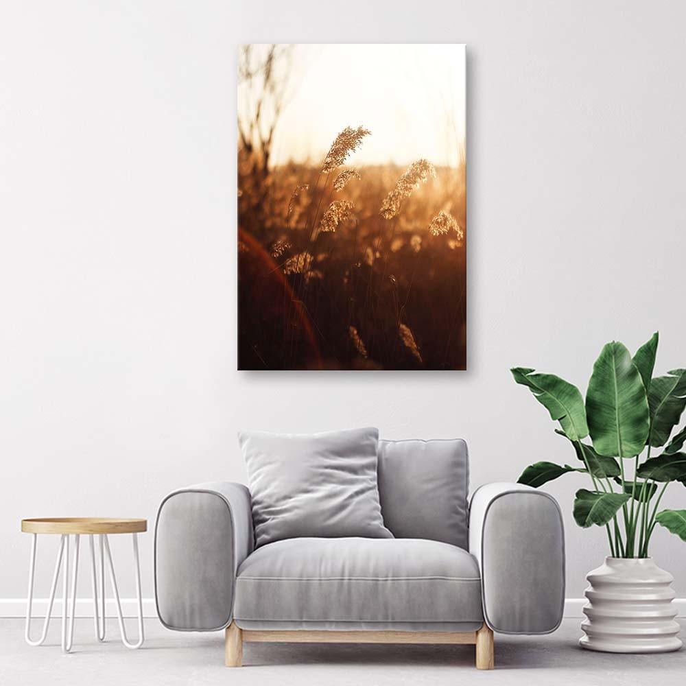 Canvas print, Meadow in the sun