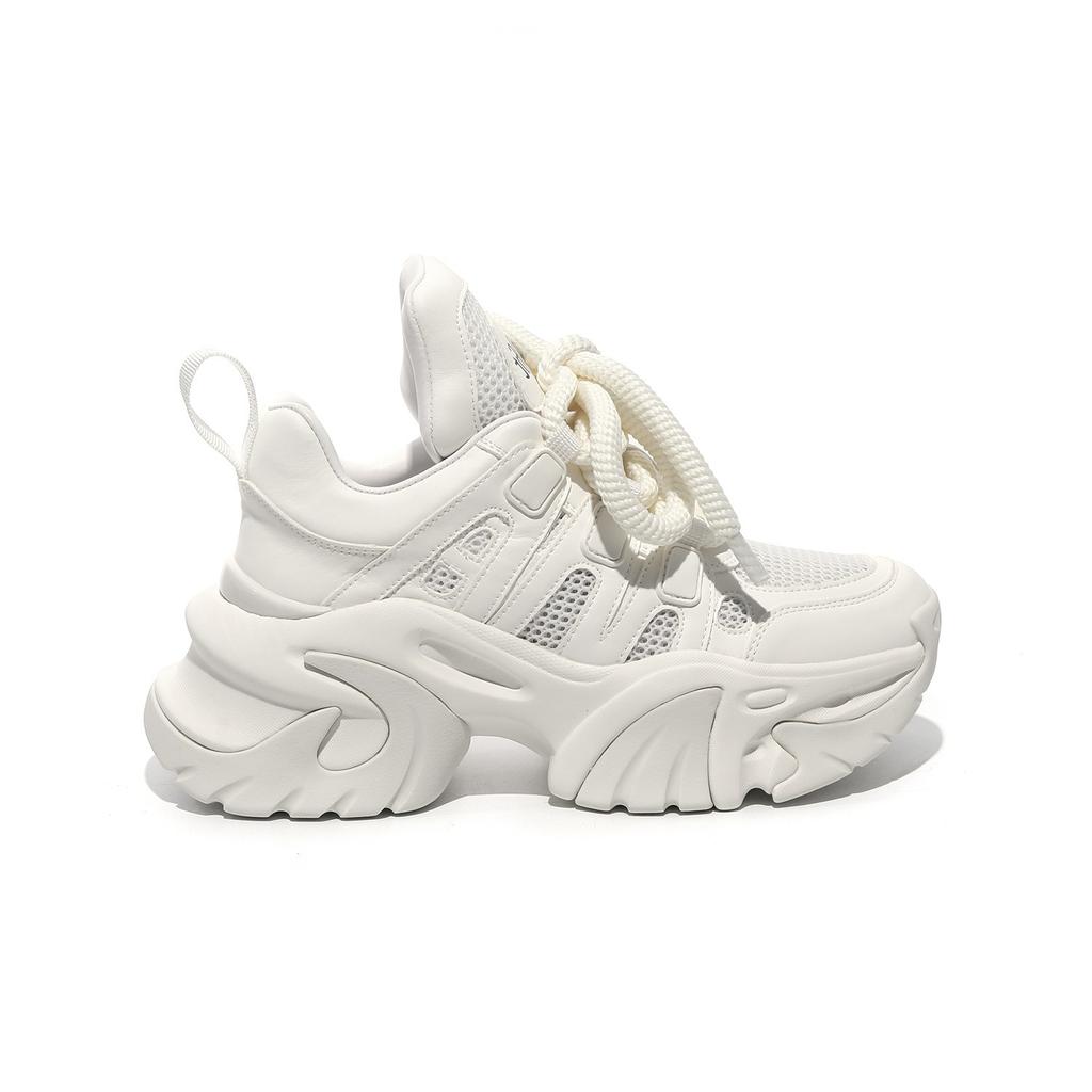 Hot Price Super Hot 2024new Thick Soled Height Increasing Breathable Mesh Sports Shoes Fashionable Women's Casual Shoes Sneakers