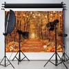 Fall Backdrops for Photography Autumn Thanksgiving Halloween Backdrop 8x6Ft