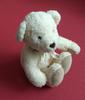 [USED] Teddy bear Tomfoolery bear
