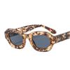 Fashionable New Sunglasses 2024 Popular Trendy Gafas Sunglasses for Women