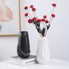 Creative Face Vase Ceramic Hydroponic Vase Dried Flower Decoration Flower Arrangement Home Decor Ornament Garden Supplies