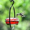 Hanging Hummingbird Feeder Attract Birds Outdoor Humming Bird Feeder With Red Glass Bowl For Outside Garden Backyard Patio Deck