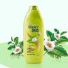 Rejoice Daily Care Oil Control Refreshing Shampoo