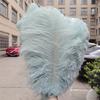15-60Cm Natural Ostrich Feathers | High-Quality For Diy, Wedding, Party, Stage, Costume & Home Decor | Various Colors Available
