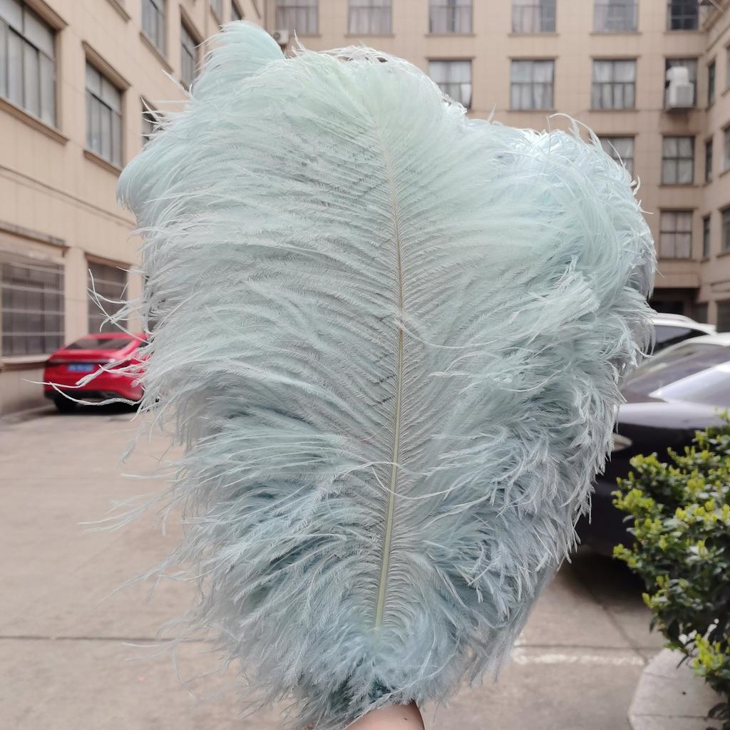 15-60Cm Natural Ostrich Feathers | High-Quality For Diy, Wedding, Party, Stage, Costume & Home Decor | Various Colors Available