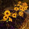 1/3 Head Solar Simulation Sunflower Lights Garden Decor Yard Lawn Night Lights  LED Landscape Lamp Home Decoration Flower Light