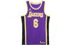 Джерси LA Lakers Леброн Джеймс CV9481-513