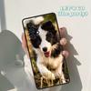 Красивый Забавный Бордер-колли Щенки чехол Для Samsung Galaxy A42 A31 A40 A51 A71 A32 A80 A91 A52 A72 A73 A20e A50 A70 A11 A12
