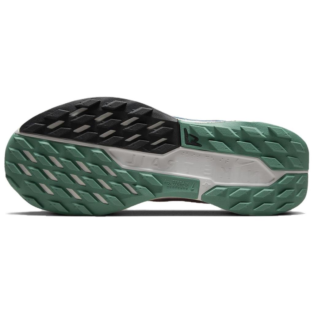Nike Женские Pegasus Trail 5 Court Blue Cedar White Court Blue Cedar Black DV3865-100