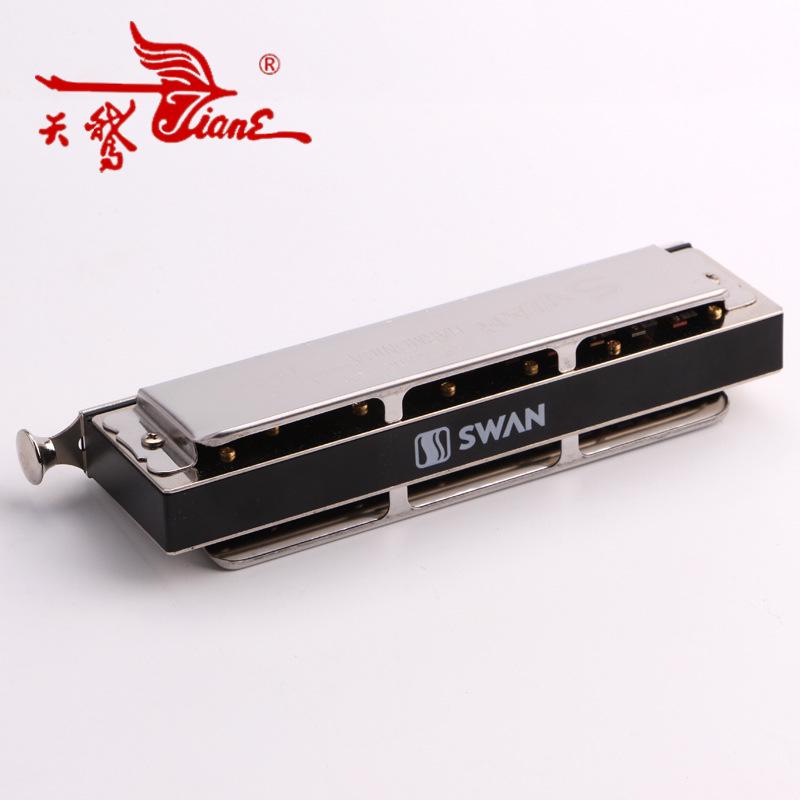 Хроматическая губная гармоника Swan - 10 или 12 отверстий, Профессиональный и студенческий духовой инструмент