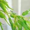 Artificial Bamboo, Artificial Plant, Decorative Plant with Pot, Artificial Tree, Tree Decoration, 150 cm