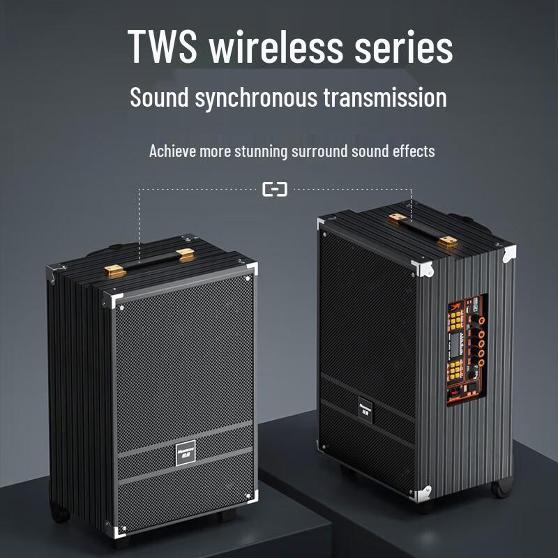 Newmine N519 12-inch Portable Bluetooth KTV Trolley Speaker