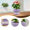 Ceramic Flower Pot with Drainage Hole and Saucer, Suitable for Indoor Outdoor Plants