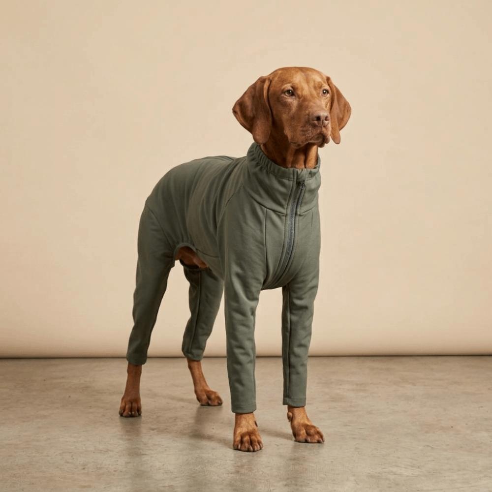 Breathable Dog Recovery Suit Elastic Full Coverage Dog Clothes Dog Anti-shedding Suit Daily Wear