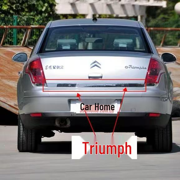 Декоративная накладка на заднюю дверь багажника Citroen C5 (8742N4)