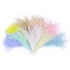 100Pcs Sewing Costuming Ostrich Feathers  for Craft Jewelry Making Accessory