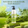 Khadi Natural Amla & Bhringraj Shampoo Pack of 2 X 650 ml Each for Dandruff Control & Hair Care