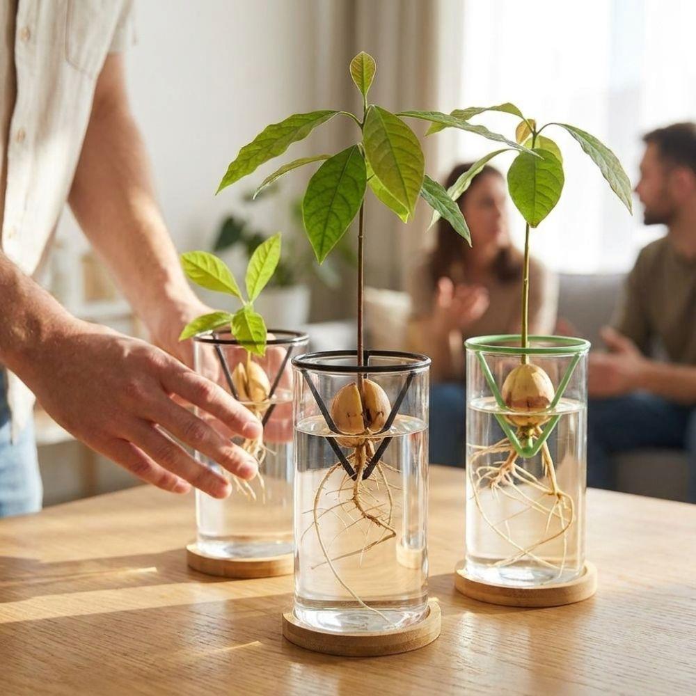 3Pcs Stable Avocado Germination Stand Floating Gardening Vase Holders Home Indoor Desk
